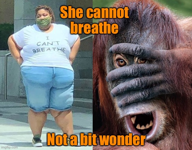 Cannot breathe | She cannot breathe; Not a bit wonder | image tagged in cannot breathe,big woman,no wonder,all that weight,fun | made w/ Imgflip meme maker