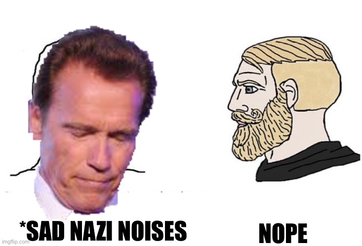 *sad nazi noisee | *SAD NAZI NOISES; NOPE | image tagged in arnold schwarzenegger,chad | made w/ Imgflip meme maker