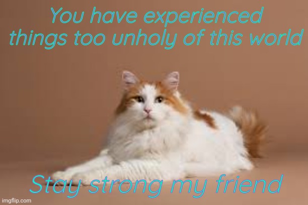 Stay strong my friend | You have experienced things too unholy of this world; Stay strong my friend | image tagged in stay safe | made w/ Imgflip meme maker