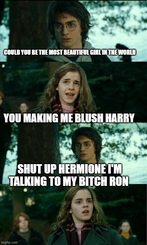 she's just jealous | COULD YOU BE THE MOST BEAUTIFUL GIRL IN THE WORLD; YOU MAKING ME BLUSH HARRY; SHUT UP HERMIONE I'M TALKING TO MY BITCH RON | image tagged in messed up convo harry potter,beautiful woman | made w/ Imgflip meme maker