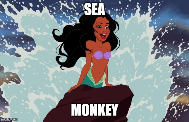 Black Ariel | SEA; MONKEY | image tagged in black ariel | made w/ Imgflip meme maker