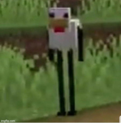 Cursed Minecraft chicken | image tagged in cursed minecraft chicken | made w/ Imgflip meme maker