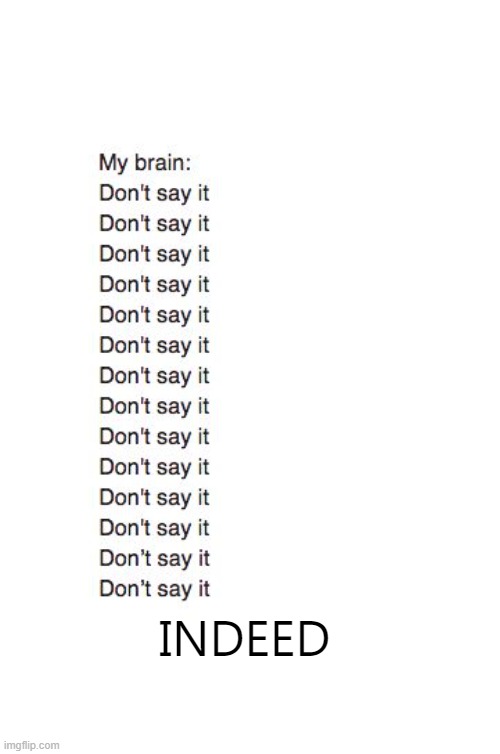 Brain: Don't Say It | INDEED | image tagged in brain don't say it | made w/ Imgflip meme maker