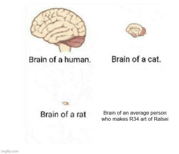 brain size comparison | Brain of an average person who makes R34 art of Ralsei | image tagged in brain size comparison,ralsei,deltarune,true,so true | made w/ Imgflip meme maker