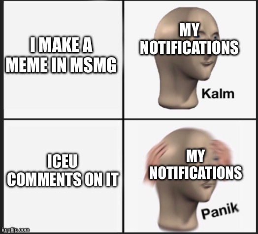 Calm Panic | MY NOTIFICATIONS; I MAKE A MEME IN MSMG; MY NOTIFICATIONS; ICEU COMMENTS ON IT | image tagged in calm panic | made w/ Imgflip meme maker