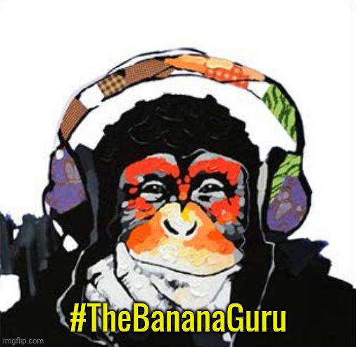 This monkey is philosopher and sex guru Blank Meme Template