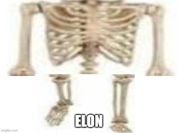 ELON | made w/ Imgflip meme maker