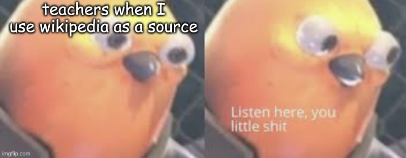 Listen here you little shit bird | teachers when I use wikipedia as a source | image tagged in listen here you little shit bird | made w/ Imgflip meme maker