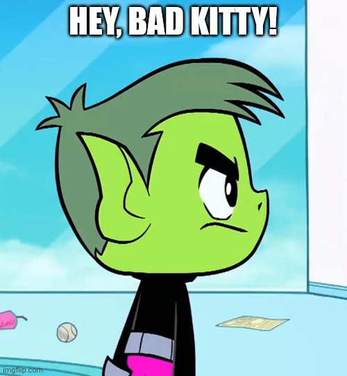 HEY, BAD KITTY! | made w/ Imgflip meme maker