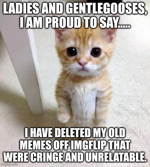 I finally did it | LADIES AND GENTLEGOOSES, I AM PROUD TO SAY..... I HAVE DELETED MY OLD MEMES OFF IMGFLIP THAT WERE CRINGE AND UNRELATABLE. | image tagged in memes,cute cat | made w/ Imgflip meme maker