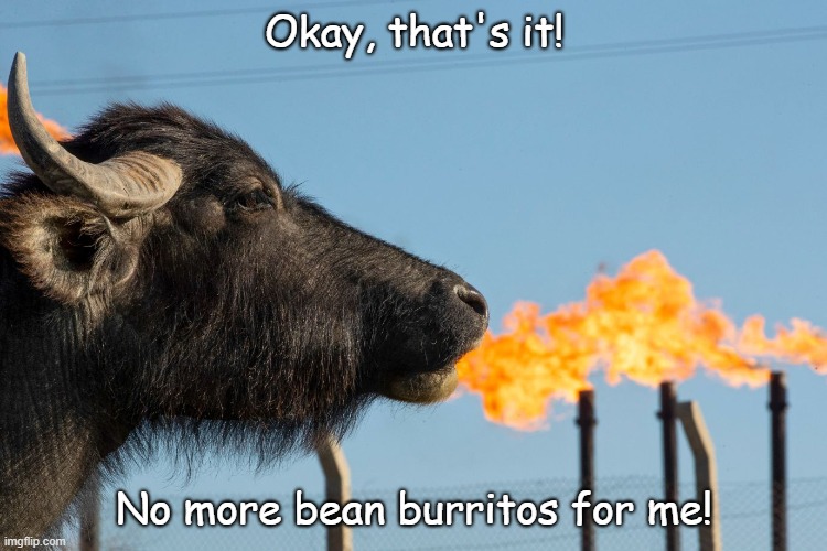 Burrito buffalo | Okay, that's it! No more bean burritos for me! | image tagged in funny | made w/ Imgflip meme maker