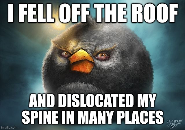angry birds bomb | I FELL OFF THE ROOF; AND DISLOCATED MY SPINE IN MANY PLACES | image tagged in angry birds bomb | made w/ Imgflip meme maker