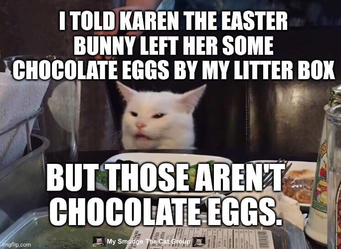 I TOLD KAREN THE EASTER BUNNY LEFT HER SOME CHOCOLATE EGGS BY MY LITTER BOX; BUT THOSE AREN'T CHOCOLATE EGGS. | image tagged in smudge the cat,memes | made w/ Imgflip meme maker