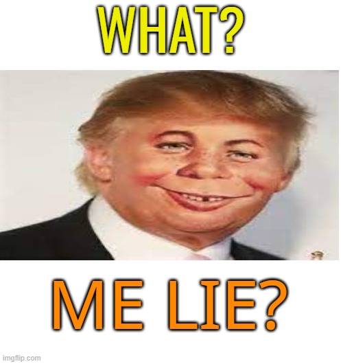 WHAT? ME LIE? | made w/ Imgflip meme maker