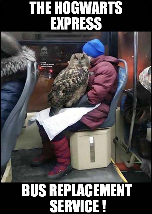 One Disappointed Owl ! | THE HOGWARTS EXPRESS; BUS REPLACEMENT
 SERVICE ! | image tagged in hogwarts,bus,owl | made w/ Imgflip meme maker