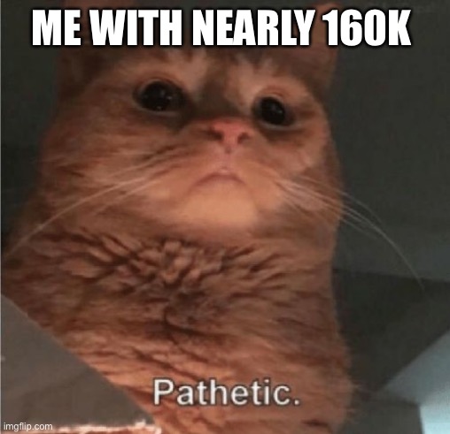 Pathetic Cat | ME WITH NEARLY 160K | image tagged in pathetic cat | made w/ Imgflip meme maker