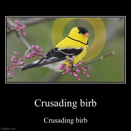 CRUSADING BIRB | image tagged in funny,demotivationals | made w/ Imgflip demotivational maker