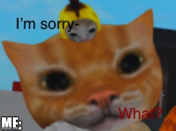 Roblox cat I’m sorry- what? | ME: | image tagged in roblox cat i m sorry- what | made w/ Imgflip meme maker