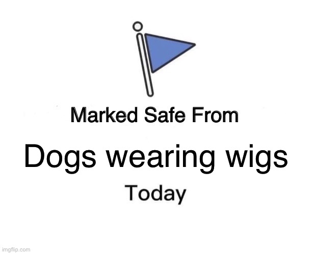 Dog’s wearing wigs | Dogs wearing wigs | image tagged in memes,marked safe from | made w/ Imgflip meme maker