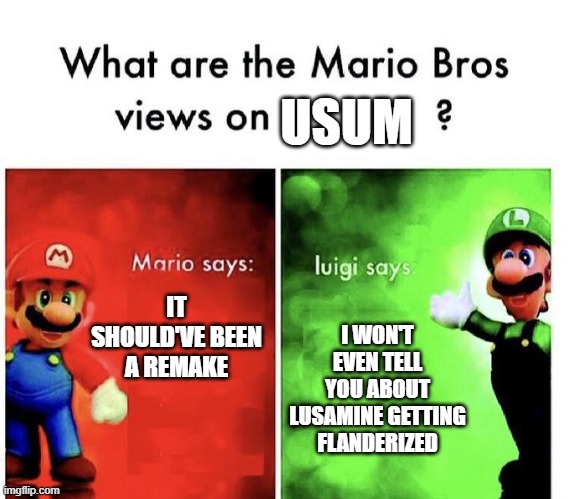 Yup | USUM; IT SHOULD'VE BEEN A REMAKE; I WON'T EVEN TELL YOU ABOUT LUSAMINE GETTING FLANDERIZED | image tagged in mario bros views,pokemon | made w/ Imgflip meme maker