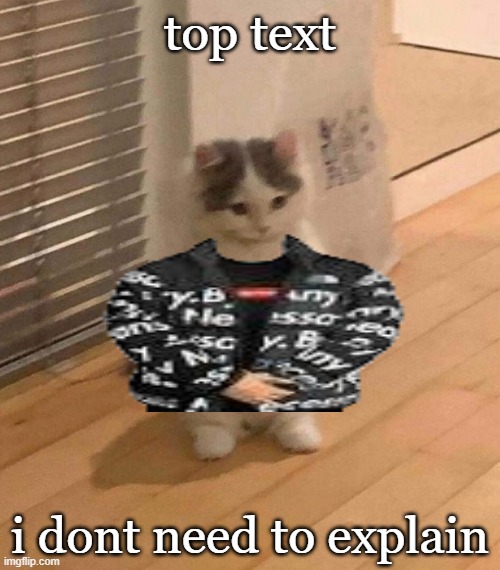 top text; i dont need to explain | image tagged in cats,drip,god,good,cat,cats are awesome | made w/ Imgflip meme maker