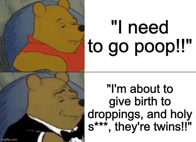 My brother actually said this once when he was busting, lol | "I need to go poop!!"; "I'm about to give birth to droppings, and holy s***, they're twins!!" | image tagged in memes,tuxedo winnie the pooh | made w/ Imgflip meme maker