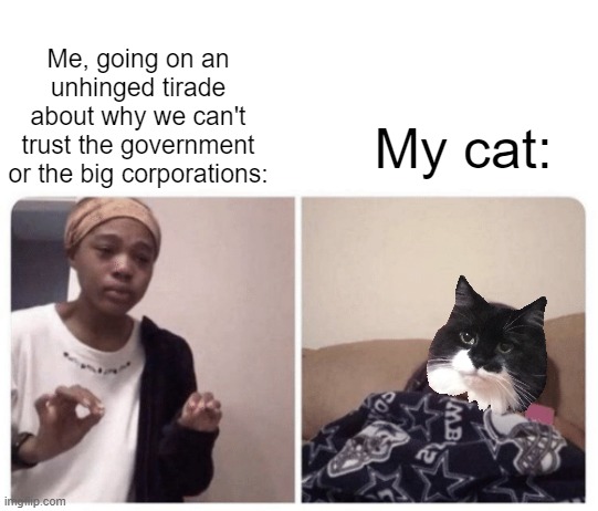I don't actually know if cats understand that. | Me, going on an unhinged tirade about why we can't trust the government or the big corporations:; My cat: | image tagged in me explaining why,cat | made w/ Imgflip meme maker