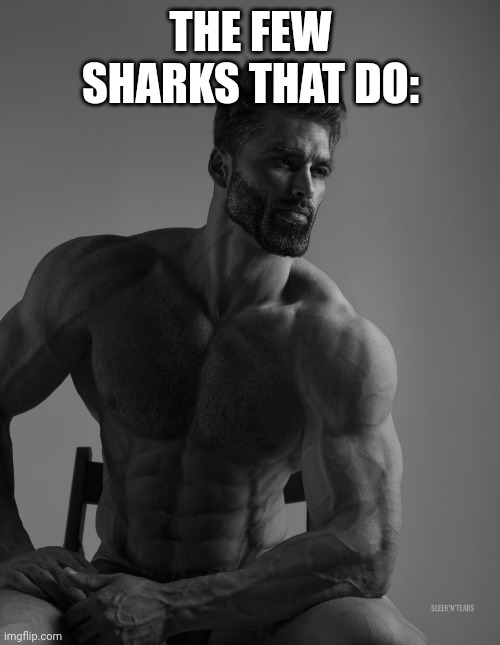 Giga Chad | THE FEW SHARKS THAT DO: | image tagged in giga chad | made w/ Imgflip meme maker
