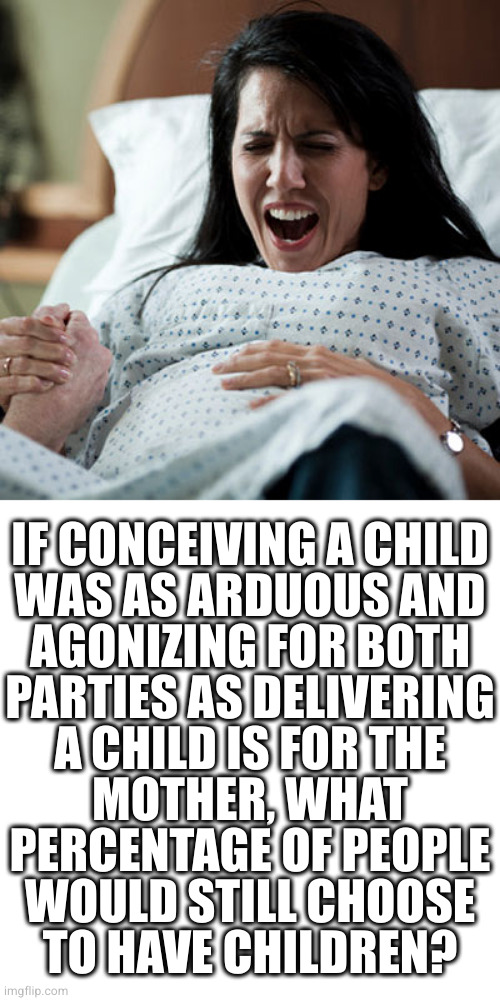 Kinda kicks the feet out from under unwanted pregnancy, don't you think? | IF CONCEIVING A CHILD
WAS AS ARDUOUS AND
AGONIZING FOR BOTH
PARTIES AS DELIVERING
A CHILD IS FOR THE
MOTHER, WHAT
PERCENTAGE OF PEOPLE
WOULD STILL CHOOSE
TO HAVE CHILDREN? | image tagged in woman in labor | made w/ Imgflip meme maker
