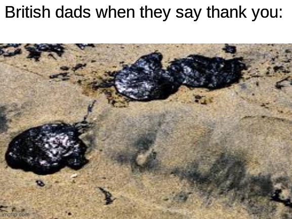 British dads when they say thank you: | image tagged in british,why are you reading this | made w/ Imgflip meme maker