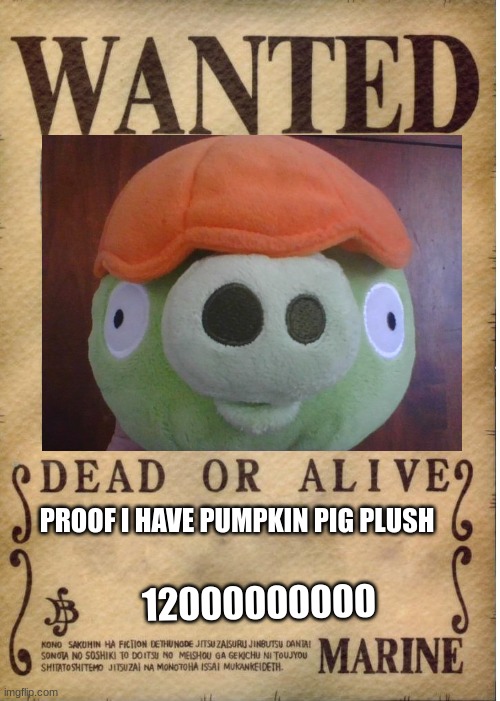 One piece wanted poster template | PROOF I HAVE PUMPKIN PIG PLUSH; 12000000000 | image tagged in one piece wanted poster template | made w/ Imgflip meme maker