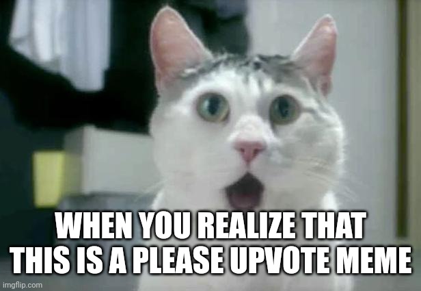 When you realize that this is a please upvote meme | WHEN YOU REALIZE THAT THIS IS A PLEASE UPVOTE MEME | image tagged in memes,omg cat | made w/ Imgflip meme maker