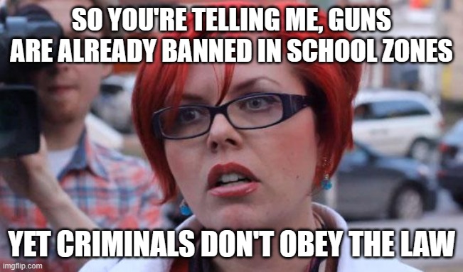Angry Feminist | SO YOU'RE TELLING ME, GUNS ARE ALREADY BANNED IN SCHOOL ZONES YET CRIMINALS DON'T OBEY THE LAW | image tagged in angry feminist | made w/ Imgflip meme maker