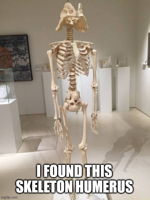 I FOUND THIS SKELETON HUMERUS | made w/ Imgflip meme maker