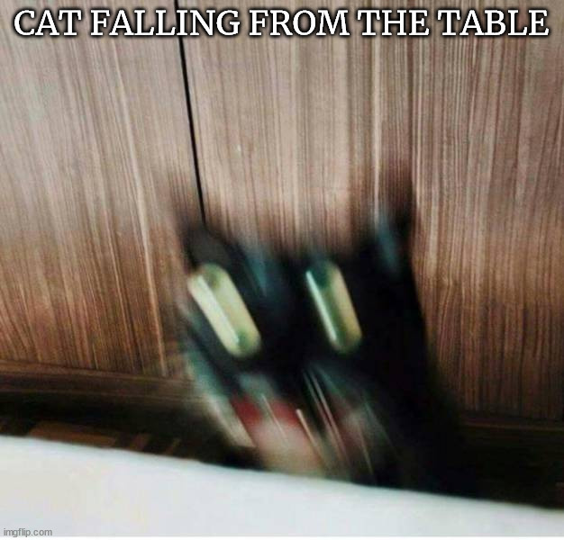 CAT FALLING FROM THE TABLE | made w/ Imgflip meme maker