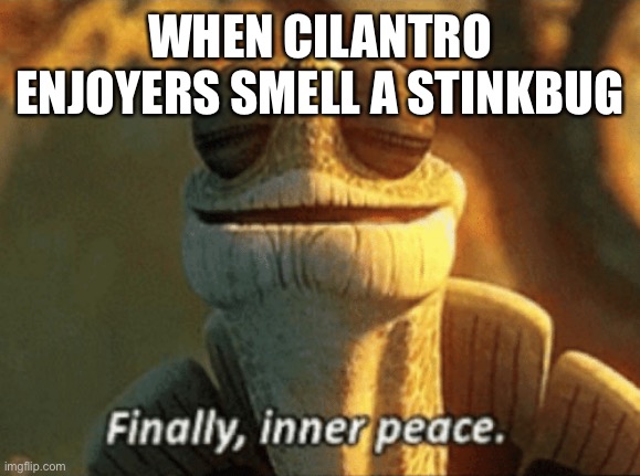 Finally, inner peace. | WHEN CILANTRO ENJOYERS SMELL A STINKBUG | image tagged in finally inner peace | made w/ Imgflip meme maker