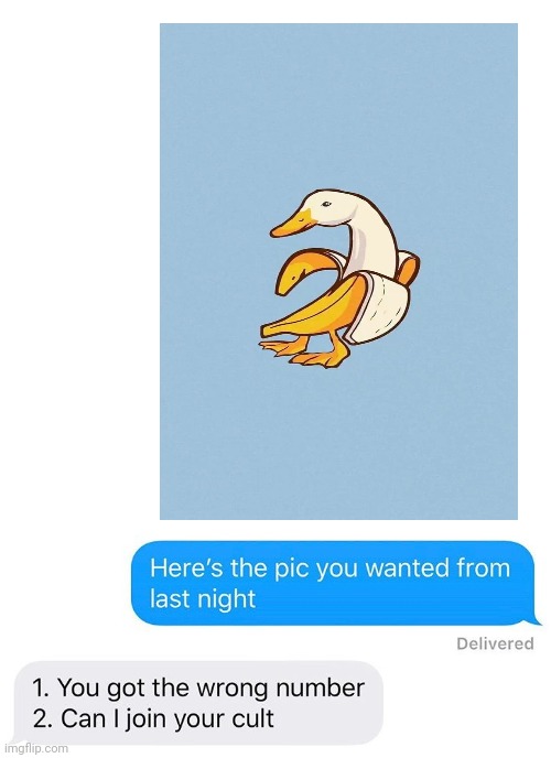 Banana Duck Cult | image tagged in memes | made w/ Imgflip meme maker
