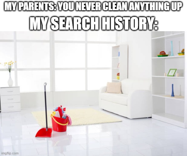 depends on what kinda mind you have... | MY PARENTS: YOU NEVER CLEAN ANYTHING UP; MY SEARCH HISTORY: | image tagged in clean house | made w/ Imgflip meme maker