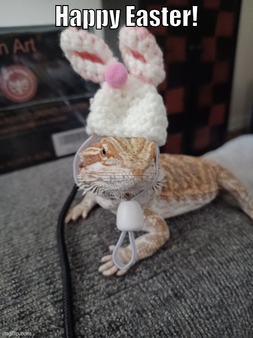 Happy Easter yall! | Happy Easter! | image tagged in easter,bunny,bearded dragon | made w/ Imgflip meme maker