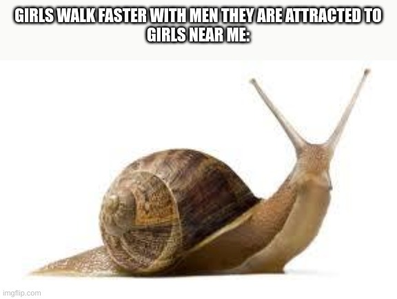 SNAIL | GIRLS WALK FASTER WITH MEN THEY ARE ATTRACTED TO
GIRLS NEAR ME: | image tagged in snail | made w/ Imgflip meme maker