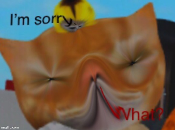 I’m sorry- what? Roblox cat but distorted | image tagged in i m sorry- what roblox cat but distorted | made w/ Imgflip meme maker