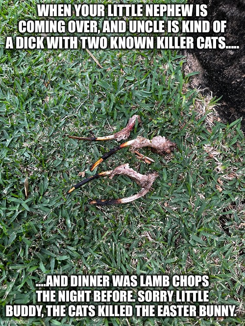 Easter bunny eaten | WHEN YOUR LITTLE NEPHEW IS COMING OVER, AND UNCLE IS KIND OF A DICK WITH TWO KNOWN KILLER CATS….. ….AND DINNER WAS LAMB CHOPS THE NIGHT BEFORE. SORRY LITTLE BUDDY, THE CATS KILLED THE EASTER BUNNY. | image tagged in easter,easter pranks,easter joke | made w/ Imgflip meme maker