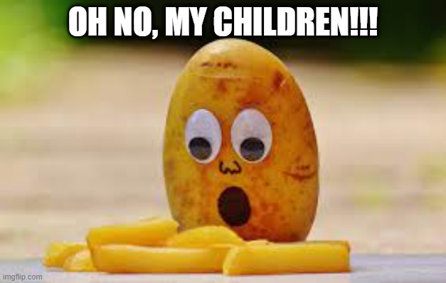 Surprise Fries | OH NO, MY CHILDREN!!! | image tagged in food | made w/ Imgflip meme maker