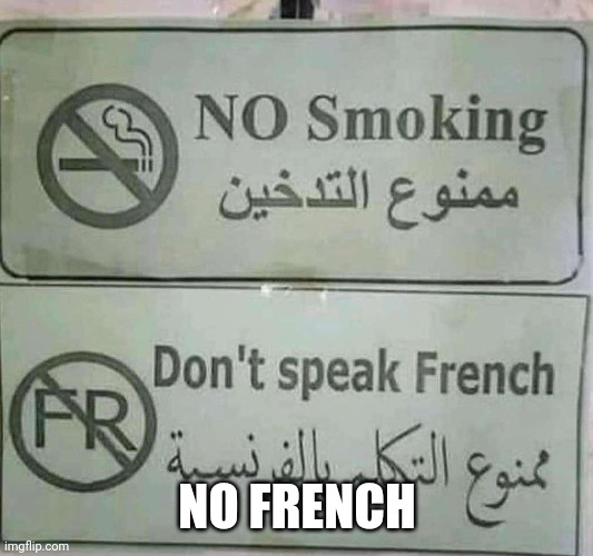 No french | NO FRENCH | image tagged in funny | made w/ Imgflip meme maker