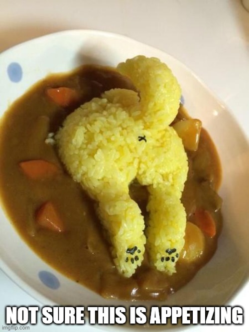 Dog Stew? | NOT SURE THIS IS APPETIZING | image tagged in food | made w/ Imgflip meme maker