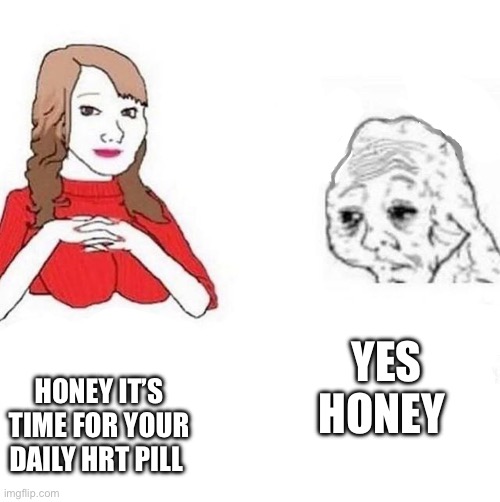 honey it's time to x | YES HONEY; HONEY IT’S TIME FOR YOUR DAILY HRT PILL | image tagged in honey it's time to x | made w/ Imgflip meme maker