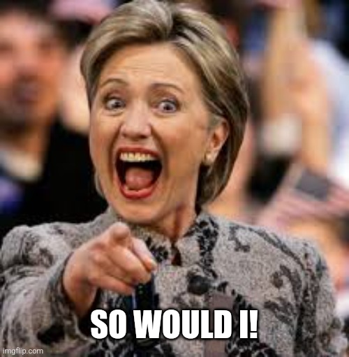 Hillary laughing | SO WOULD I! | image tagged in hillary laughing | made w/ Imgflip meme maker