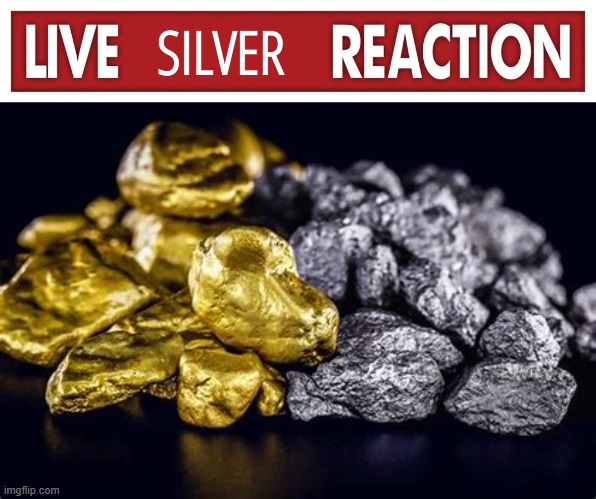 Live Silver Reaction | image tagged in live silver reaction | made w/ Imgflip meme maker