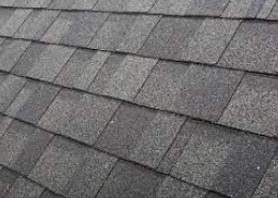 oh shingles Blank Meme Template