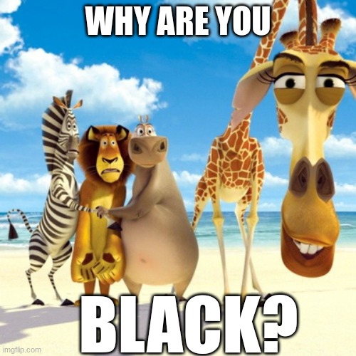 Melman Why Are You | WHY ARE YOU; BLACK? | image tagged in melman why are you | made w/ Imgflip meme maker